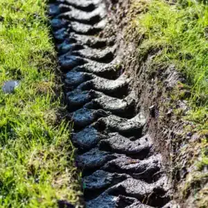 My Neighbor Drove over My Lawn Every Day as a Shortcut to Her Yard