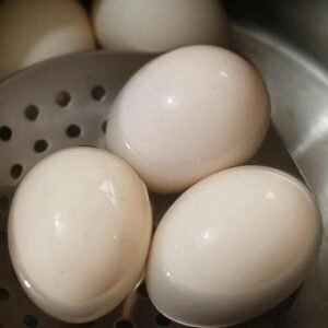 Doctors reveal that eating eggs frequently causes ….