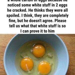 White Egg Part Explained