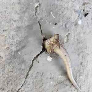 Balcony Discovery Changed Everything