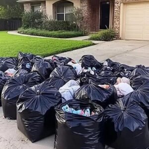 Evicted by Mother-in-Law