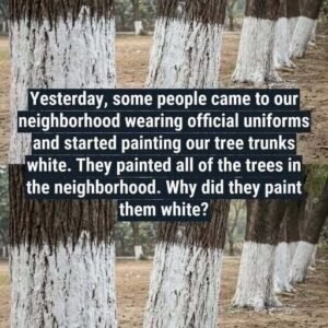 What’s the Reason Behind Painting Trees White?