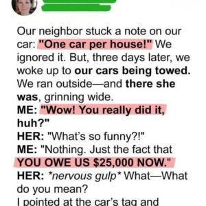 Karma Hits Nosy Neighbor