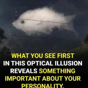 Optical Illusion Reveals You