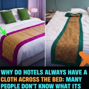 Hotel Bed Fabric Purpose