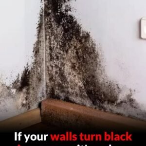 Black Wall Corners Explained