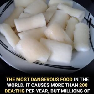 World’s Deadliest Food