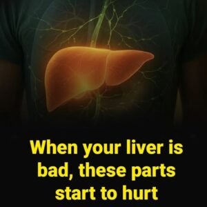 When your liver is bad, these parts start to hurt
