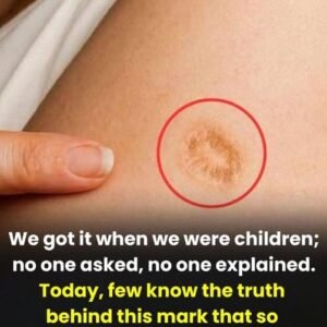 The Stories We Carry: Reflections on a Childhood Memory