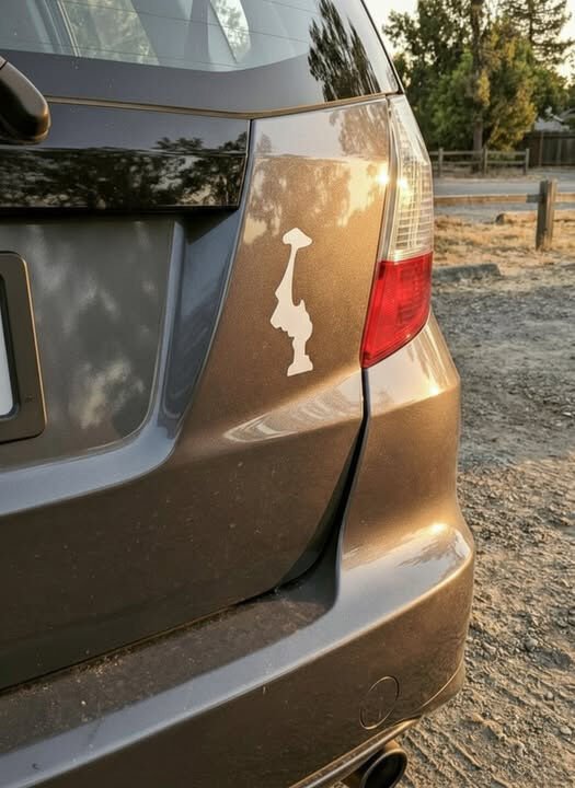 Offside Sticker Upside-Down Sticker Trend – Flash News 2 Day