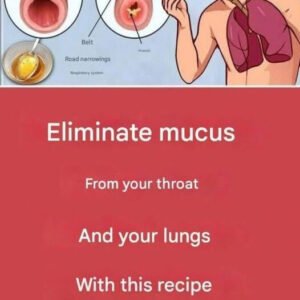 How to maintain a healthy level of phlegm and mucus