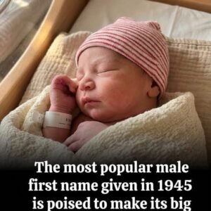 Forgotten Classic Returns