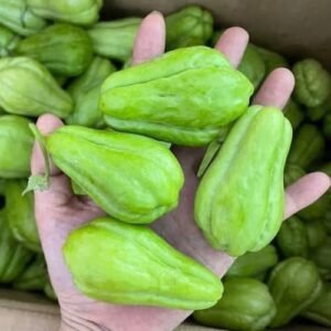 Doctors reveal that eating chayote causes ….