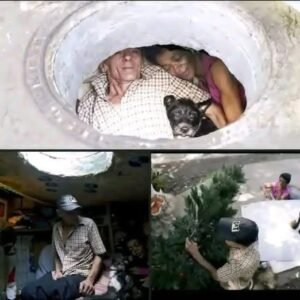 Breaking News: Family found in a… See more