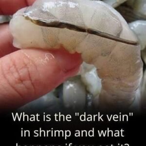 What Is the “Shrimp Vein”? A Complete Guide to Understanding, Cleaning, and Cooking Shrimp