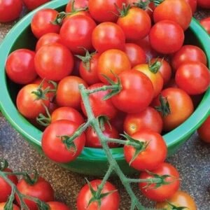 Eating tomatoes: an ally for your health and your kitchen