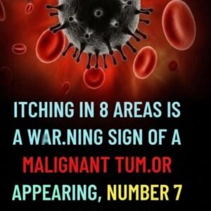 Persistent Itching in These 8 Specific Body Areas Could Signal an Underlying Cancer Risk — Critical Warning Signs Seniors Should Never Ignore, What the Symptoms May Mean, When to Seek Medical Advice, and How Early Detection Can Make a Life-Saving Difference in Long-Term Health Outcomes