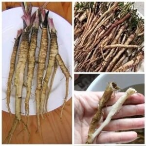 A plant that destroys cancer cells in just 48 hours! It’s 100 times more effective than chemotherapy…