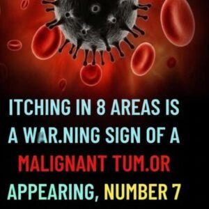 Persistent Itching in These 8 Specific Body Areas Could Signal an Underlying Cancer Risk — Critical Warning Signs Seniors Should Never Ignore, What the Symptoms May Mean, When to Seek Medical Advice, and How Early Detection Can Make a Life-Saving Difference in Long-Term Health Outcomes