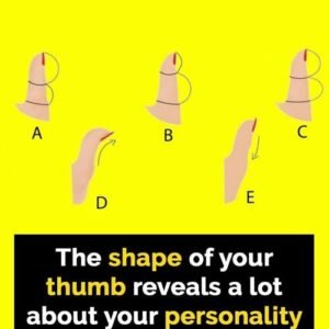 The shape of your fingertips reveal your true personality