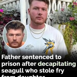 Father sentenced to prison after decapitating seagull who stole fry from daughter