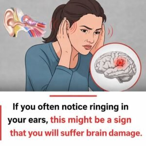 Ringing Ears Warning