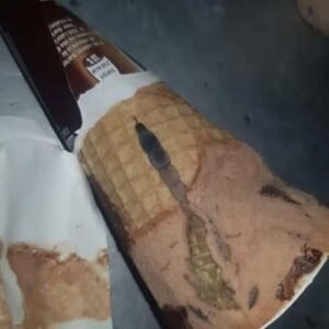 She Found Something Strange Inside Her Ice Cream