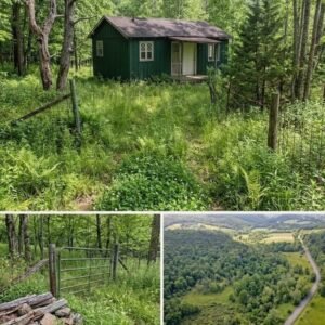 Now ,000—recently reduced by K. Escape to total privacy: no neighbors, no noise, peace and open space. Perfect for a getaway, investment, or off-grid living. Rare opportunity to own quiet land at an unbeatable price. Act fast before it’s gone.