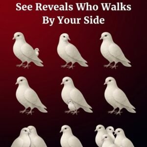 What It Could Mean When You Notice Doves Around You