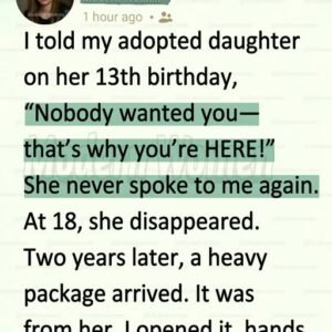 My Adopted Daughter Disappeared—Two Years Later, Her Package Exposed My Husband’s Secret