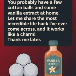 Using Vanilla to Create a Clean and Pleasant Fridge Environment