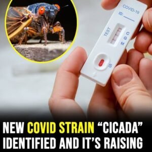 Experts Warn Cicada Variant