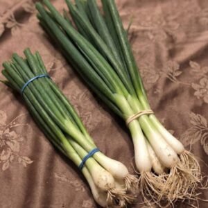 Doctors reveal that eating green onions causes …