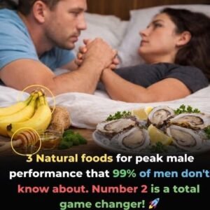 Natural Male Vitality Guide
