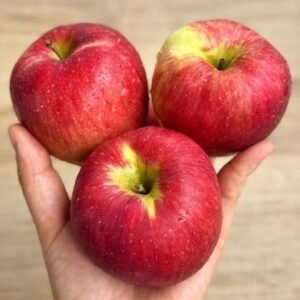 Doctors Reveal That Eating Apples Regularly Can Transform Your Health: From Sharper Digestion and Lower Cholesterol to Better Heart, Gut, and Immune Function — Discover What Happens if You Make Apples a Daily Habit