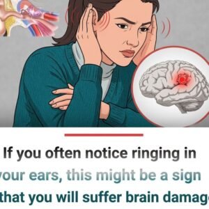 Hearing Ringing in Your Ears? Experts Clarify the Truth About Tinnitus—Why This Common Condition Causes Persistent Sounds Without External Noise, What Triggers It, and Why It’s Not a Sign of Future Illness, Easing Fears While Urging Awareness, Proper Care, and Early Attention to Protect Hearing Health and Prevent Long-Term Discomfort