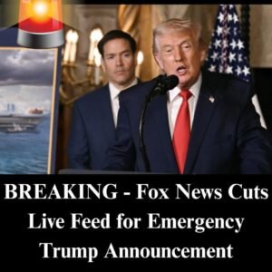 Bret Baier Provides Huge Update After Phone Call from Trump