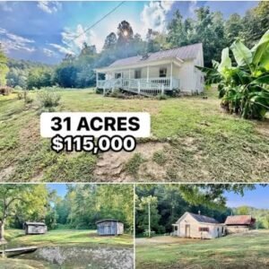 31-Acre Rural Property with Farmhouse and Development Potential in Blaine, Kentucky