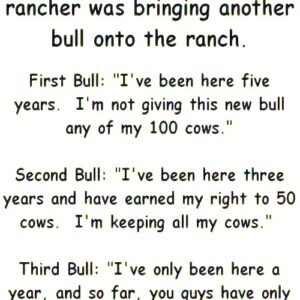 Three Bulls Made One Choice — And It Changed Everything