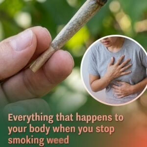 Everything That Happens To Your Body When You Stop Smoking Weed Revealing How Your Lungs Begin To Recover, Memory And Focus Improve, Sleep Patterns Shift, And Mood Stabilizes Over Time While Also Highlighting Temporary Withdrawal Symptoms Like Irritability, Cravings, And Restlessness Showing The Full Physical And Mental Reset Your Body Goes Through After Quitting