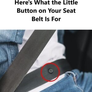 Here’s What the Little Button on Your Seat Belt Is Really For