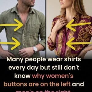Why Women’s Shirts Button on the Left and Men’s on the Right: A Historical Fashion Tradition Rooted in European Class Structure, Servant-Assisted Dressing, and Practical Needs of Men Carrying Weapons, Showing How Centuries-Old Social Customs Became Standardized Into Modern Clothing Design and Still Persist Today as a Subtle Remnant of Historical Gender Roles