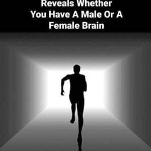 8 fascinating optical illusions that challenge your self-awareness