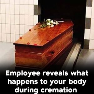 Employee reveals what happens to your body during cremation