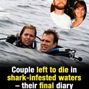 Couple left to die in shark-infested waters – their diary entries are chilling