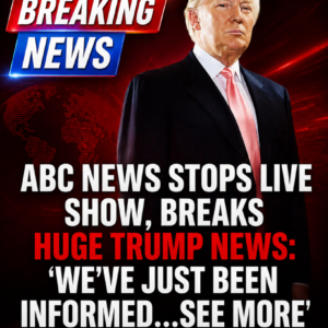 ABC Anchor Admits Truth As Trump’s DC Crackdown Yields Big Results