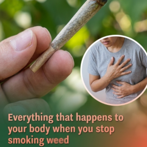 Everything That Happens To Your Body When You Stop Smoking Weed Revealing How Your Lungs Begin To Recover, Memory And Focus Improve, Sleep Patterns Shift, And Mood Stabilizes Over Time While Also Highlighting Temporary Withdrawal Symptoms Like Irritability, Cravings, And Restlessness Showing The Full Physical And Mental Reset Your Body Goes Through After Quitting