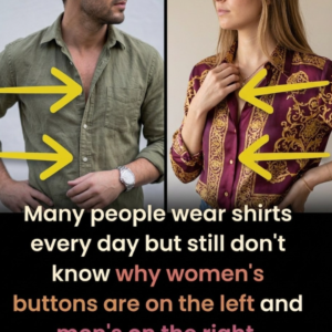 Why Women’s Shirts Button on the Left and Men’s on the Right: A Historical Fashion Tradition Rooted in European Class Structure, Servant-Assisted Dressing, and Practical Needs of Men Carrying Weapons, Showing How Centuries-Old Social Customs Became Standardized Into Modern Clothing Design and Still Persist Today as a Subtle Remnant of Historical Gender Roles