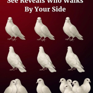The Number of Doves You See Reveals Who Walks By Your Side—A Mysterious Visual Test That Claims to Uncover Hidden Meanings About Relationships, Guidance, and Life Paths, Sparking Curiosity, Debate, and Self-Reflection as People Try to Decode Whether It Symbolizes Love, Protection, or the Presence of Someone Closely Connected to Their Journey