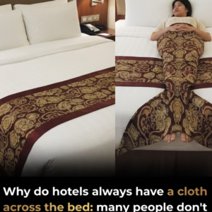 The fabric strip across hotel beds, often called a bed runner, serves several practical purposes beyond decoration. It protects bedding from dirt, shoes, and luggage placed on the bed, helps keep sheets cleaner, and adds a layer of hygiene. Bed runners also enhance room aesthetics, reinforce branding, and create a polished, welcoming look for guests.
